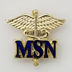 Master Of Science In Nursing (MSN) | NursingSchoolsAlmanac.com